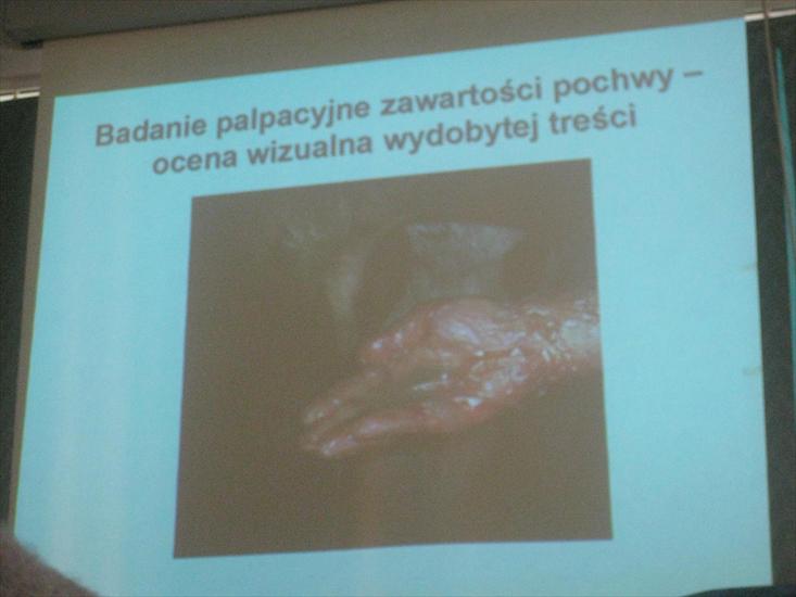 ROZRÓD ĆW ZASADY BADANIA GINEKOLOGICZNEGO KROWY I KLACZY zdjęcia - 2009.10.13 ROZRÓD ĆW WAŻŻŻNE 68.JPG