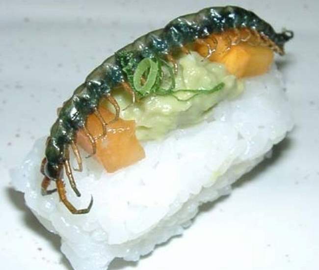 Sushi z owadami - 255ede699b8312e183efa7f.jpg