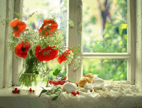 Galeria - flowers-window.gif