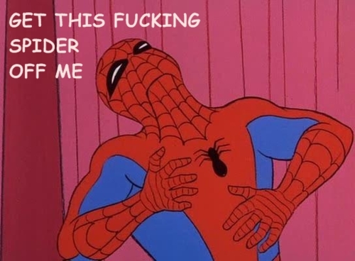 Spiderman memy - tumblr_lo115yvFEd1qfaiwro1_500.jpg