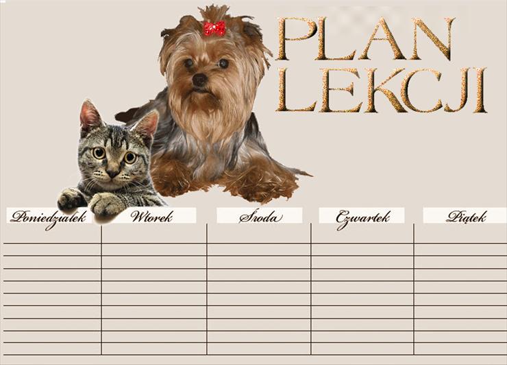 PLANY LEKCJI - plan lekcji kot i pies chomikalaola.jpg