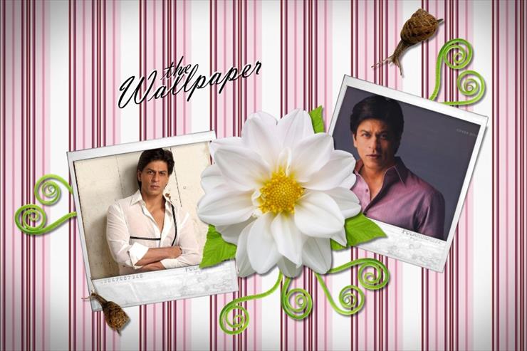 Mój idol SRK - shahrukh-5.jpg