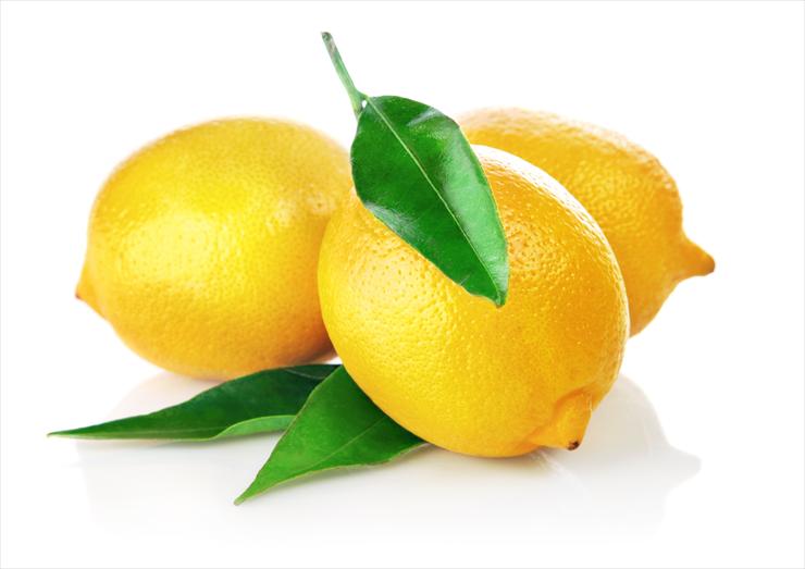 Lemon - fotolia_28404486.jpg