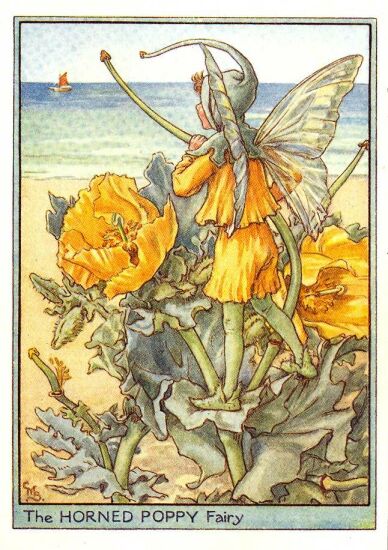 Cicely Mary Barker 1895-1973 - horned_poppy_flower_fairy.jpg