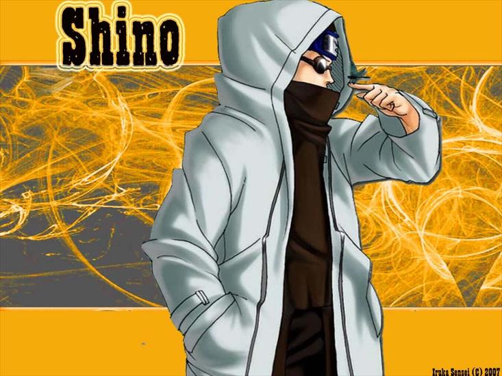 Shino - 491.jpg