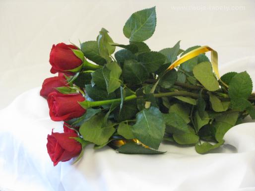 Róża-piękny kwiat - róże.jpg