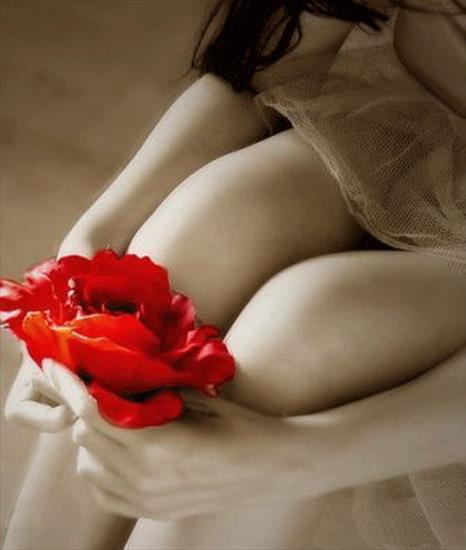 kobieta z różą - flowers_84.gif