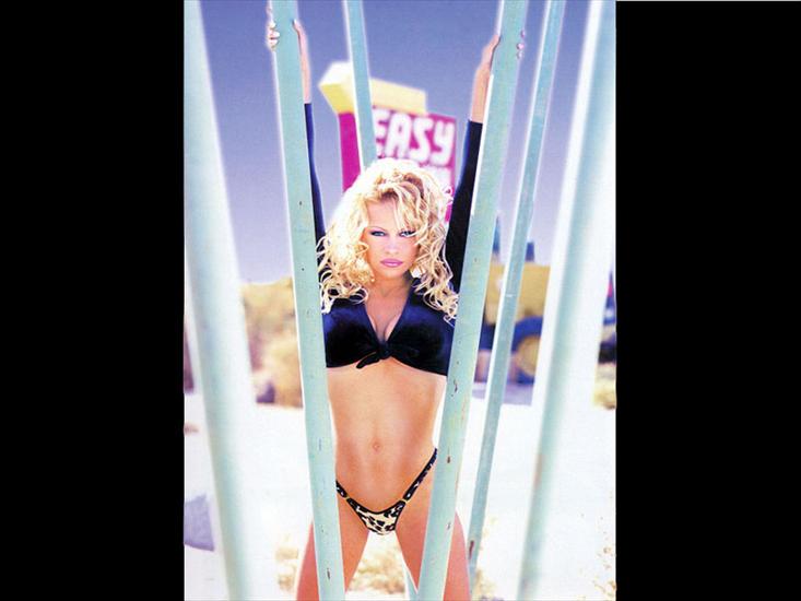 Pamela Anderson - LARGE524.JPG