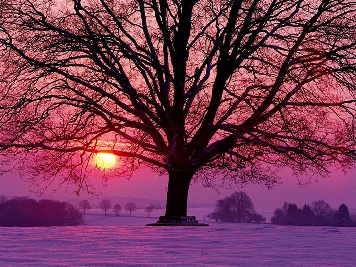 Krajobrazy - Kolory Zimy.jpg