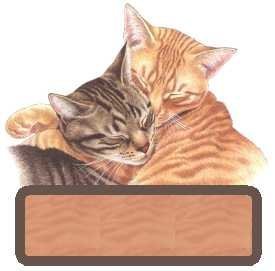 różne - huggingcats122-vi.jpg