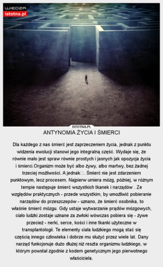 istotna - antynomia_zycia_i_sm_2013-10-25_23-17-03.jpg