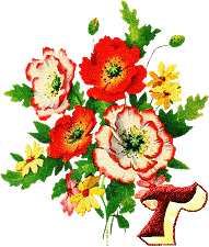 Alfabety z Bukietem kwiatów - 021 - T.gif