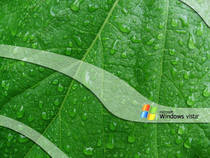 Windows - 10.jpg