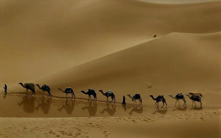 tapety - Camel Caravan, Libya.jpg