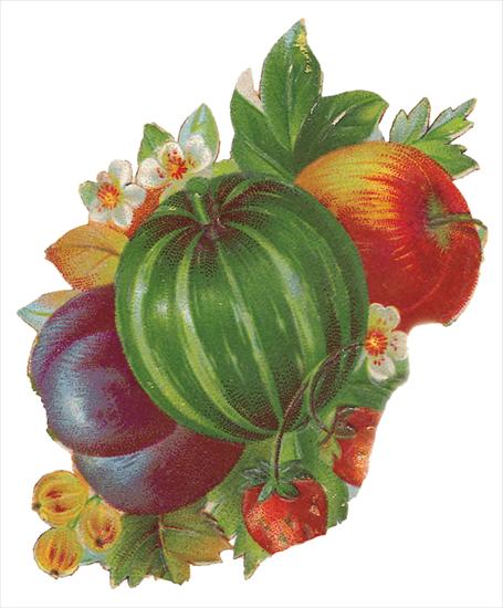   Fruits and Flowers ze starych pocztówek - 201.TIF