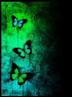 Tapety na fon - mobile_Butterfly-Wallpaper.jpg