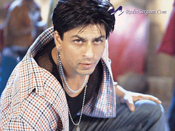 Shah Rukh Khan - 33.jpg
