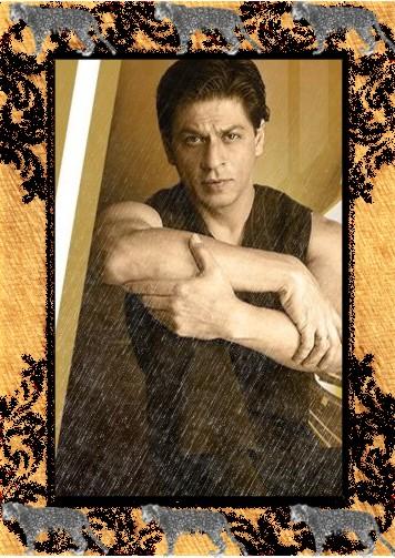 Zdjęcia SRK - Nowy-5.jpg