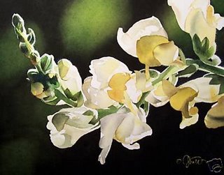 JENNIFER VRANES - snapdragons.jpg