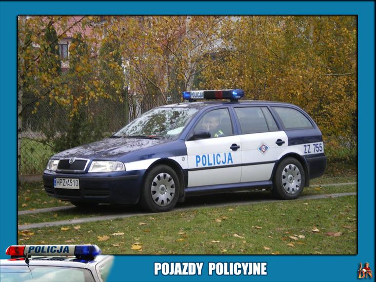 TAPETY POLICJA - PP 019.jpg