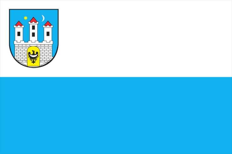Flagi i herby miast - 800px-POL_Chojnów_flag.svg.png