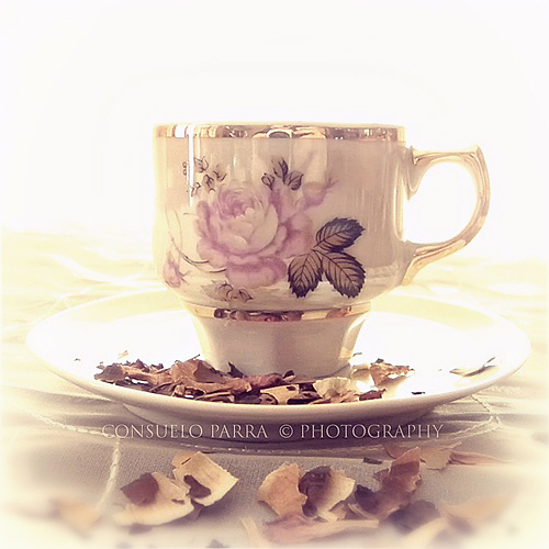 empty - My tea of petals.jpg