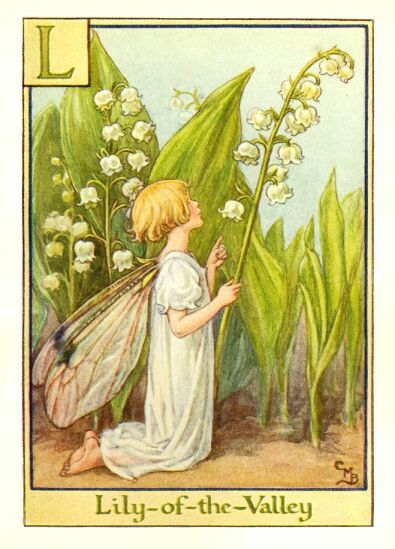 alfabet - lily_of_the_valley_flower_fairy.jpg