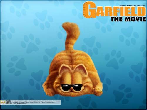 tapety - GARFIELD - Garfield_04.jpg